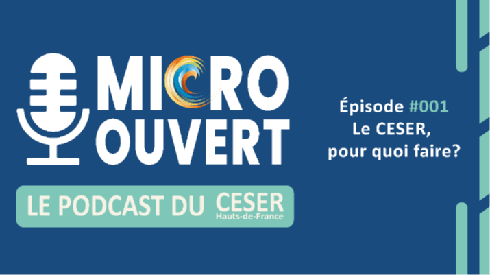 Micro Ouvert : comprendre les enjeux régionaux autrement